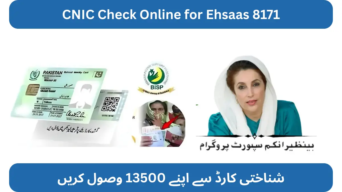 Ehsaas 8171 Program 2025
