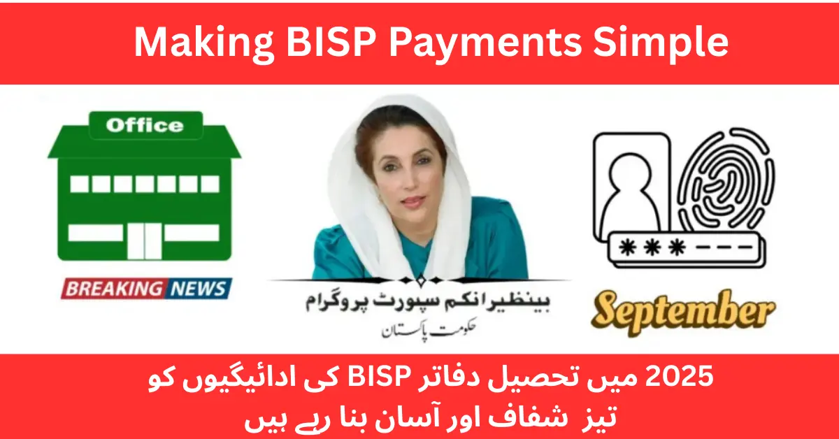 BISP Payments