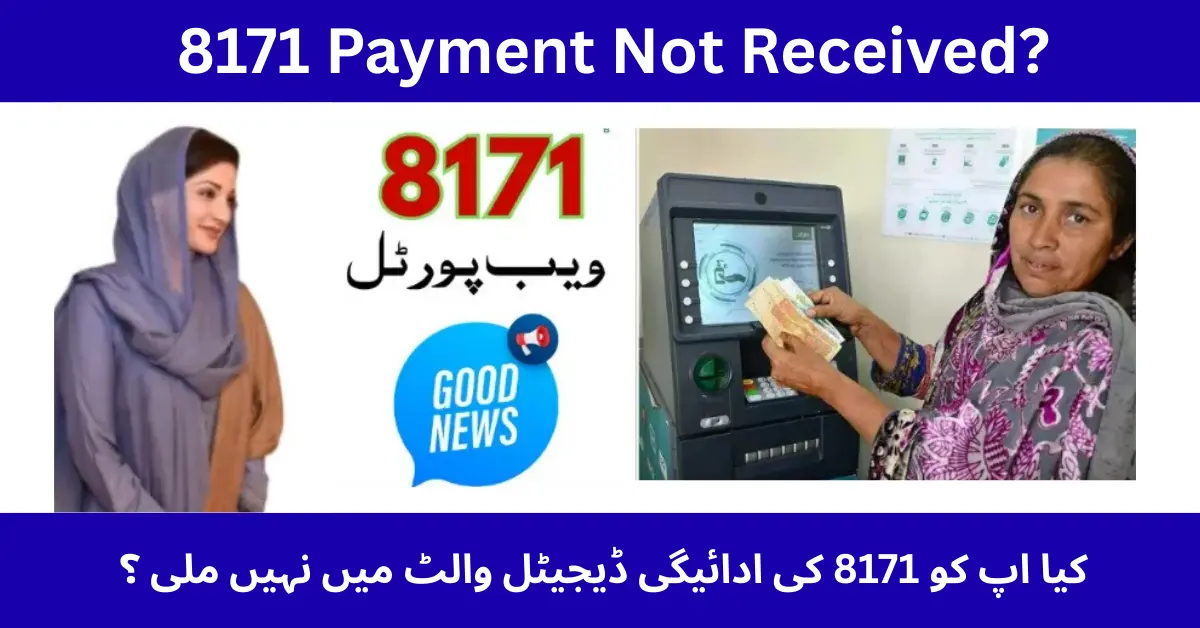 8171 Payment Not Received? Step-by-Step Fix for Wallet Issues in 2025