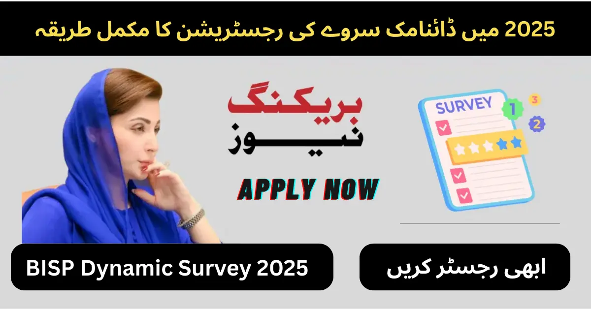 BISP Dynamic Survey