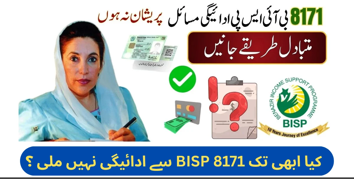 BISP 8171 Payment